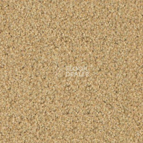 Ковровая плитка Forbo Sharepoint 1198 фото 1 | FLOORDEALER