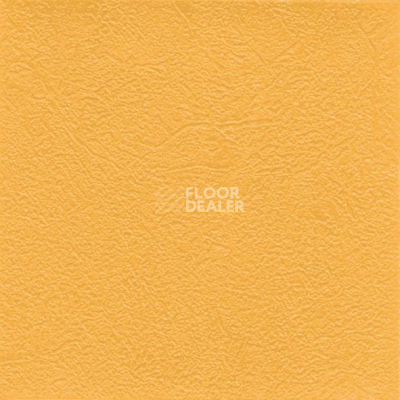 Линолеум Graboflex Gymfit 50 4000_630_3 фото 1 | FLOORDEALER