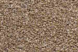 Ковролин AW Perseus 35 фото  | FLOORDEALER