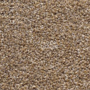 Ковролин AW Perseus 35 фото 1 | FLOORDEALER