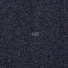 Desso Torso B 9022 фото 1 | FLOORDEALER