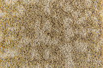 Flotex Colour embossed tiles tg 546512 Metro Sand Glass Embossed фото 2 | FLOORDEALER