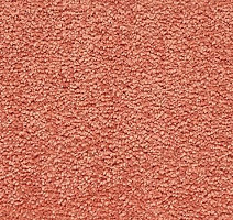 Ковролин Vorwerk Passion 1001 Vorwerk 1l77 фото 1 | FLOORDEALER