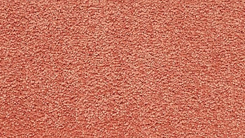 Ковролин Vorwerk Passion 1001 Vorwerk 1l77 фото 1 | FLOORDEALER