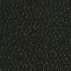 Ковролин Desso Champion 9501 фото 1 | FLOORDEALER