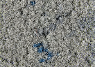 Ковровая плитка ColorKey ColorKey b 06 фото 1 | FLOORDEALER