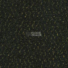 Ковролин Desso Champion 9501 фото 1 | FLOORDEALER