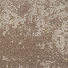 Ковролин 2640 570 фото 1 | FLOORDEALER