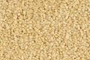 Ковролин Balsan Bolero roll 630 фото  | FLOORDEALER