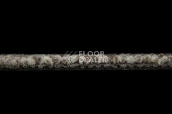 Balsan Season - Summer / Winter 720 фото 3 | FLOORDEALER