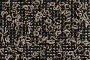 Ковролин Carpet Concept Eco Iqu S 60266 фото  | FLOORDEALER