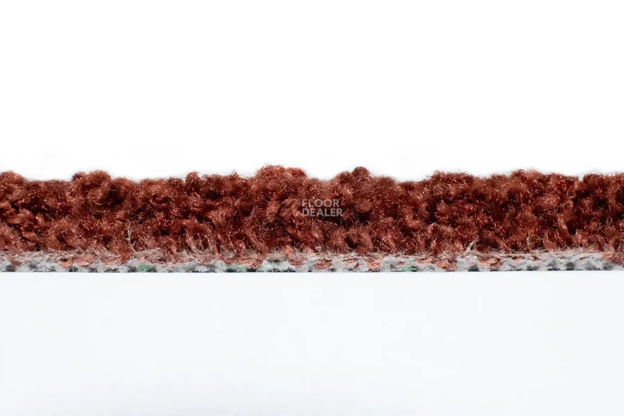 Vorwerk Exclusive1009/Elara 1m16 фото 3 | FLOORDEALER