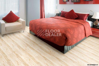 Wood замковое MAPLE фото 3 | FLOORDEALER