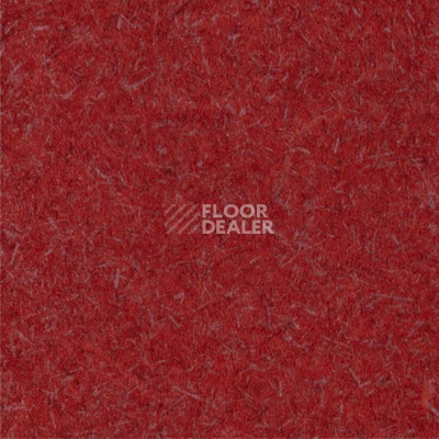 Линолеум Grabo Diamond Tech 4906_379_216_PL фото 1 | FLOORDEALER
