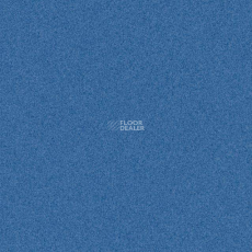 Tarkett iq Melodia 2647 фото 1 | FLOORDEALER