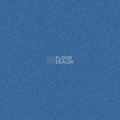 Линолеум Tarkett iq Melodia 2647 фото 1 | FLOORDEALER