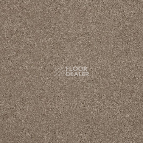 Ковролин Lano Lounge 430 Sable фото 1 | FLOORDEALER