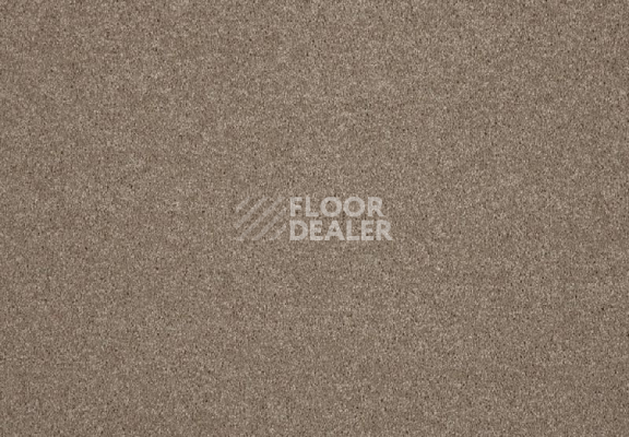 Ковролин Lano Lounge 430 Sable фото 1 | FLOORDEALER