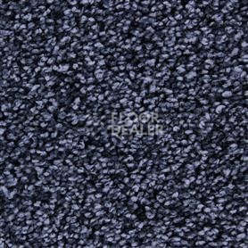 Ковролин Edel Chavelli 161 фото 1 | FLOORDEALER