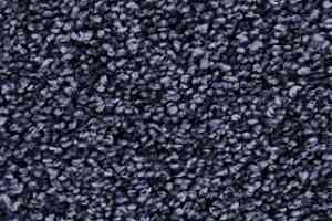 Ковролин Edel Chavelli 161 фото  | FLOORDEALER