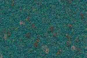 Ковролин Finett Vision Focus 605568 фото  | FLOORDEALER