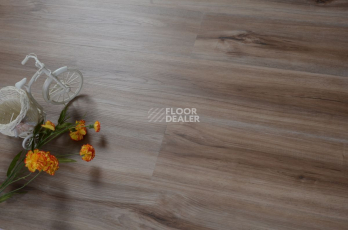 Evofloor Optima Click 4.2мм Груша Карамель фото 5 | FLOORDEALER