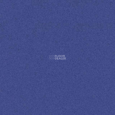 Tarkett iq Melodia 2638 фото 1 | FLOORDEALER