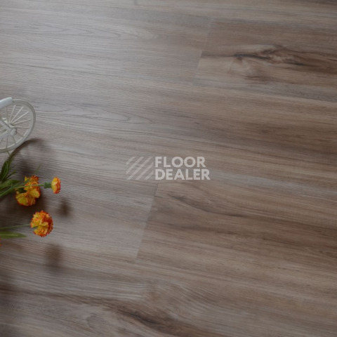 Evofloor Optima Click 4.2мм Груша Карамель фото 5 | FLOORDEALER