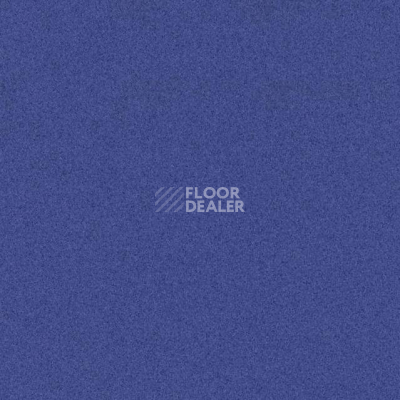 Линолеум Tarkett iq Melodia 2638 фото 1 | FLOORDEALER