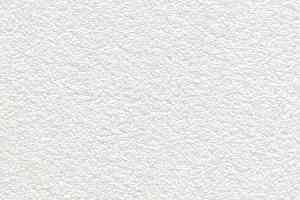 Ковролин Balta ITC Satino Royce 30 фото  | FLOORDEALER