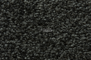 Balsan Serenite 960 фото 3 | FLOORDEALER