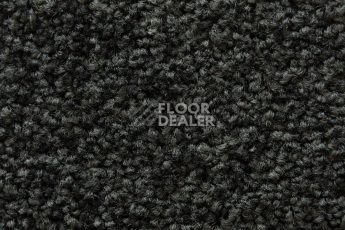 Balsan Serenite 960 фото 3 | FLOORDEALER