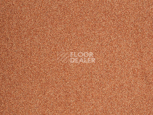 Ковролин ITC Evolve Evolve 65 фото 1 | FLOORDEALER
