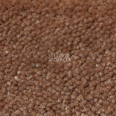Ковролин Big Caresse 964 фото 1 | FLOORDEALER