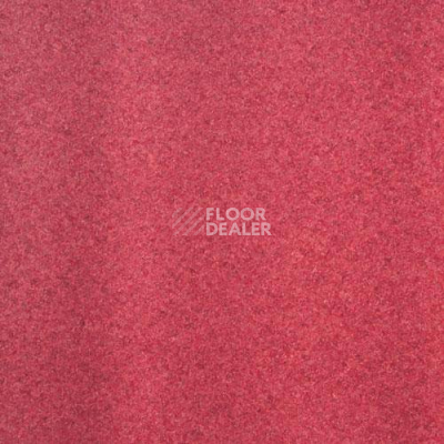 Линолеум Lg Calmpasso CP 93403 фото 1 | FLOORDEALER