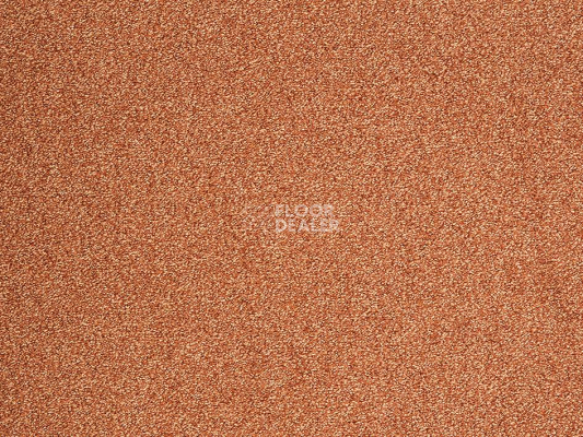 Ковролин ITC Evolve Evolve 65 фото 1 | FLOORDEALER