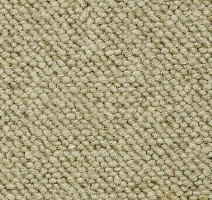 Ковролин Creatuft Alfa Alfa 88 фото 1 | FLOORDEALER