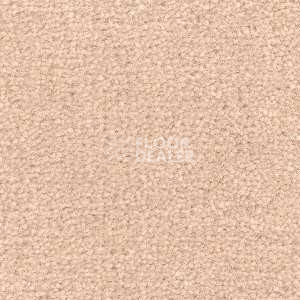 Ковролин Radici Montecarlo 43 фото 1 | FLOORDEALER