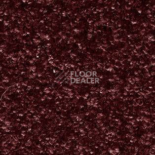 Ковролин AW Gaia Meridia 19 фото 1 | FLOORDEALER