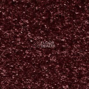 Ковролин AW Gaia Meridia 19 фото 1 | FLOORDEALER