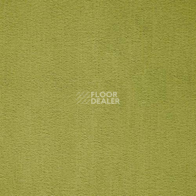 Ковролин Balta ITC Prominent 23 фото 1 | FLOORDEALER