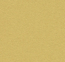 Линолеум Forbo Marmoleum Bulletin Board 2212 fresh pineapple фото 1 | FLOORDEALER