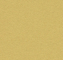 Линолеум Forbo Marmoleum Bulletin Board 2212 fresh pineapple фото 1 | FLOORDEALER