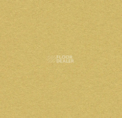 Линолеум Forbo Marmoleum Bulletin Board 2212 fresh pineapple фото 1 | FLOORDEALER