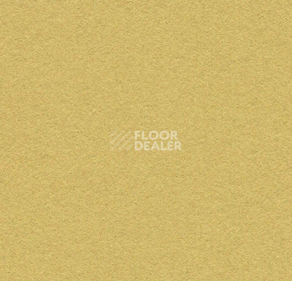 Линолеум Forbo Marmoleum Bulletin Board 2212 fresh pineapple фото 1 | FLOORDEALER
