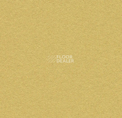 Линолеум Forbo Marmoleum Bulletin Board 2212 fresh pineapple фото 1 | FLOORDEALER