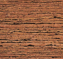 Natural Cork замковое Tigre фото 2 | FLOORDEALER