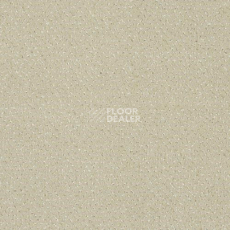 Ковролин Sintelon Orion 89339 фото 1 | FLOORDEALER