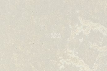 Линолеум Forbo Marmoleum Solid Concrete 3708-370835 fossil фото 1 | FLOORDEALER