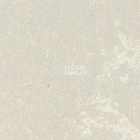 Forbo Marmoleum Solid Concrete 3708-370835 fossil фото 1 | FLOORDEALER
